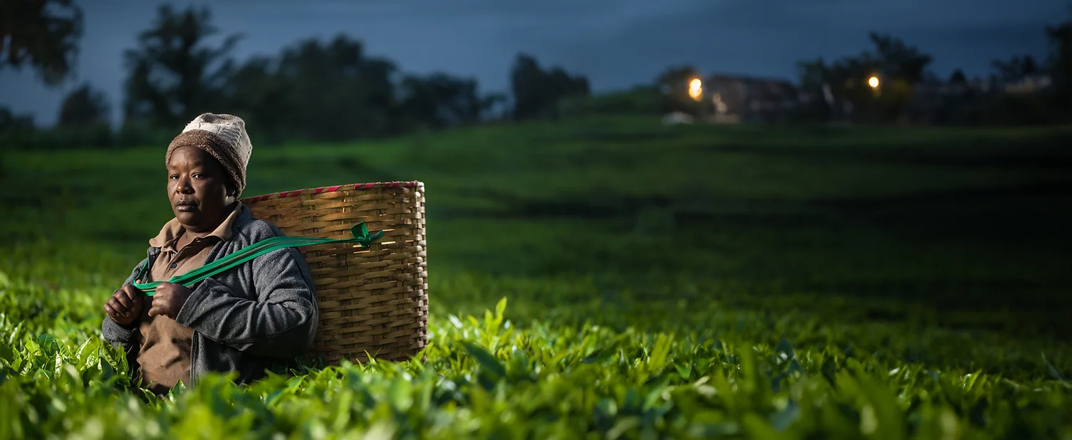 Woman with basket standing in a green field at dusk.